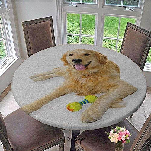 ThinkingPower Elasticized Tablecloth Pet Dog Laying Down with Toy Friendly Domestic Puppy Playful Companion Polyester tablecothes for Travel Christmas Picnics Parties Multicolor Diameter - 39 Inch