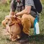 BOSHEL Dog Travel Water Bottle – Large Dog Water Bottle And Foldable Feeder - Approved Compact Dog Water Dispenser With Spill Proof Lid - Portable Pet Water Bottle And Cat Water Bottle + Belt Hook BOSHEL Dog Travel Water Bottle – Large Dog Water Bottle And Foldable Feeder - Approved Compact Dog Water Dispenser With Spill Proof Lid - Portable Pet Water Bottle And Cat Water Bottle + Belt Hook