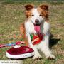 Torus 1-Liter Torus Water Bowl