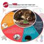 Ethical Mini Tennis Balls and Catnip Cat Toy