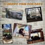 David City Cat Window Perch, Cat Window Hammock, Cat Hammock, Quality Upgrades, Saving Space, Carrying 35 Pounds, Allowing Your Cat to Enjoy 360-Degree Sunbathing.