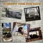 David City Cat Window Perch, Cat Window Hammock, Cat Hammock, Quality Upgrades, Saving Space, Carrying 35 Pounds, Allowing Your Cat to Enjoy 360-Degree Sunbathing.
