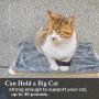 RUN HELIX Cat Window Perch with Plush mat, Cat Hammock for Indoor Large Cats, Cat Beds with 4 Sturdy Suction Cups, cat Shelves Providing All-Around 360° Sunbathe Hold 30lb-50lb (Beige Premium Set)