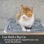 RUN HELIX Cat Window Perch with Plush mat, Cat Hammock for Indoor Large Cats, Cat Beds with 4 Sturdy Suction Cups, cat Shelves Providing All-Around 360° Sunbathe Hold 30lb-50lb (Beige Premium Set) RUN HELIX Cat Window Perch with Plush mat, Cat Hammock for Indoor Large Cats, Cat Beds with 4 Sturdy Suction Cups, cat Shelves Providing All-Around 360° Sunbathe Hold 30lb-50lb (Beige Premium Set)