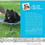 Paws & Pals Elevated Dog Bed - Steel Frame, Temp Control, Indestructible Chew-Proof Pet Cot w/ Trampoline Suspended Raised Hammock Best for Portable in/Out Door Use Cooling Platform | Medium