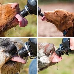 Lick N Flow Pet Water Bottle (25fl oz) (Black)