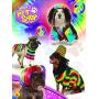 Rubies Pet Costume, Large, Mexican Serape