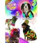 Rubies Pet Costume, Large, Mexican Serape Rubies Pet Costume, Large, Mexican Serape