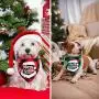 Dog Snuffle Mat Training Toy, Christmas Classic Checked pet Scarf Triangle bib Square Merry Christmas Santa Claus Snowman Printed pet Scarf Small to Large Dog cat pet (Red) Dog Snuffle Mat Training Toy, Christmas Classic Checked pet Scarf Triangle bib Square Merry Christmas Santa Claus Snowman Printed pet Scarf Small to Large Dog cat pet (Red)