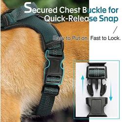 rabbitgoo Dog Harness, No Pull Dog Vest Harness with Shock-Absorbing Bungee Straps, Adjustable Dog Walking Harness with Easy Control Handle, Reflective Pet Vest Harness for Large Medium Dogs