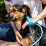 Aquapaw Pet Bathing Tool – Sprayer and Scrubber in One – Compatible with Indoor Shower or Outdoor Garden Hose – for Dog and Cat Grooming – Garden Hose and Shower Adapters Included