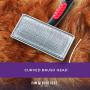 Ryans Pet Supplies Paw Brothers Coated Pin Flat Slicker Brush for Dogs, Small
