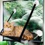 TENGTUNG Cat Window Perch, Cat Window Seat Bed Hammock Space Saving Design 360° Sunbath Holds Up to 20lbs for Any Cat Size