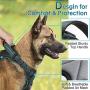 rabbitgoo Dog Harness, No Pull Dog Vest Harness with Shock-Absorbing Bungee Straps, Adjustable Dog Walking Harness with Easy Control Handle, Reflective Pet Vest Harness for Large Medium Dogs