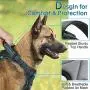 rabbitgoo Dog Harness, No Pull Dog Vest Harness with Shock-Absorbing Bungee Straps, Adjustable Dog Walking Harness with Easy Control Handle, Reflective Pet Vest Harness for Large Medium Dogs rabbitgoo Dog Harness, No Pull Dog Vest Harness with Shock-Absorbing Bungee Straps, Adjustable Dog Walking Harness with Easy Control Handle, Reflective Pet Vest Harness for Large Medium Dogs