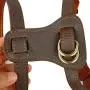 Beirui Leather Dog Harness for Small Medium and Large Dogs