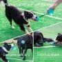 Dog Chew Toys for Aggressive Chewers, Puppy Dog Training Treats Teething Rope Toys for Boredom, Dog Puzzle Treat Food Dispensing Ball Toys for Small Large Dogs Dog Chew Toys for Aggressive Chewers, Puppy Dog Training Treats Teething Rope Toys for Boredom, Dog Puzzle Treat Food Dispensing Ball Toys for Small Large Dogs