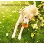 BMAG Pineapple Dog Chew Toys for Aggressive Chewer, Indestructible Power Dental Dog Toys, Interactive Tough Natural Rubber Chew Toys for Large Medium Dogs, Training Fetching Chasing Dog Toys BMAG Pineapple Dog Chew Toys for Aggressive Chewer, Indestructible Power Dental Dog Toys, Interactive Tough Natural Rubber Chew Toys for Large Medium Dogs, Training Fetching Chasing Dog Toys
