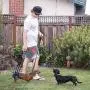 Walkabout Back END Harness Dog Lift, Support Aid, Dogs and Cats Needing Assistance with Walking.a Back end Lift Mobility Aid