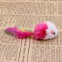 avbxcuecc 10Pcs/Set Novelty Pet Kitten Cat Furry Mouse Shaped Toy Feather Tail Fetch Toy Gift