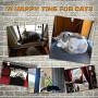 David City Cat Window Perch, Cat Window Hammock, Cat Hammock, Quality Upgrades, Saving Space, Carrying 35 Pounds, Allowing Your Cat to Enjoy 360-Degree Sunbathing.