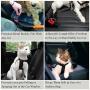 2 Adjustable Car Seat Belts for Dogs & Cats --- Triple the survival rate in accidents - Prevent stress from travel in kennel - Allow breathing fresh air without pets jumping out - Support all cars