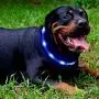 LED Dog Collar,USB Rechargeable Glowing Dog Collars, Light Up Collar Improved Pet Safety &Visibility at Night, 3 Flashing Modes,Water-Resistant Lighted Collar Fits For Small Medium Large Dogs LED Dog Collar,USB Rechargeable Glowing Dog Collars, Light Up Collar Improved Pet Safety &Visibility at Night, 3 Flashing Modes,Water-Resistant Lighted Collar Fits For Small Medium Large Dogs