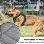 rabbitgoo Dog Harness No Pull, Adjustable Dog Walking Harness with 2 Metal Clips & Shock-Absorbing Bungee Straps, Soft Padded Pet Vest Chest Harness Reflective with Handle for Medium Dogs (Black, M)