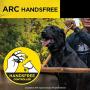 Dogtra ARC HANDSFREE Remote Training Dog Collar - 3/4 Mile Range, Hands free Remote Controller, Waterproof, Rechargeable, 127 Training Levels, Vibration - includes PetsTEK Dog Training Clicker