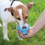 OCSOSO Dog Water Bottle Portable Silicone Folding Pets Bowl Travel Pet Canteen Outdoor Collapsing Water Feeding Bottles Kettle with Carabiner Clip for Dogs Cats 200ML 400ML.