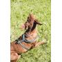 Hurtta Pet Collection Padded Y-Harness