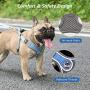 Surepet Dog Harnesses with Leash for Small Medium Dogs Adjustable,Reflective