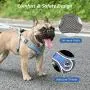 Surepet Dog Harnesses with Leash for Small Medium Dogs Adjustable,Reflective Surepet Dog Harnesses with Leash for Small Medium Dogs Adjustable,Reflective