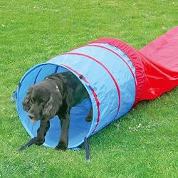 PAWISE Pet Dogs Outdoor Games Agility Exercise Training Equipment Pet Training Tunnel