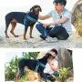 Dog Harness No Pull Ultra Soft Breathable Padded Pet Harness 2 Adjustable Botton, 3M Reflective Pet Harness for Dogs Easy Control for Small Medium Large Dogs Dog Harness No Pull Ultra Soft Breathable Padded Pet Harness 2 Adjustable Botton, 3M Reflective Pet Harness for Dogs Easy Control for Small Medium Large Dogs