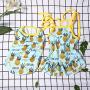 BBEART Pet Clothes,Lovely Summer Fruit Dog T-Shirt Puppy Clothes Dog Skirt Dress Cats Clothes for Small Dogs Cats Puppy