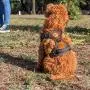 ZeusDaBear Dog Harness | Reflective No Pull Harness Pet Vest | Very Easy Control Pet Walking Adjustable Harness for Small Medium Large XLarge Dogs | No Choke Front Lead Dog Harness ZeusDaBear Dog Harness | Reflective No Pull Harness Pet Vest | Very Easy Control Pet Walking Adjustable Harness for Small Medium Large XLarge Dogs | No Choke Front Lead Dog Harness