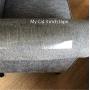 MY CAT: Does Sticky Cat Tape Work—Will it Look Good On My Furniture? 3 inch X 30yrd Cat Scratch Deterrent Tape is The First Line of Defense When You Start Thinking About Protecting Your Furniture.