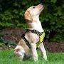 Dog Harness No Pull Pet Harness 3M Reflective Adjustable Outdoor Pet Vest Harness Handle Small Medium Large Dogs Training
