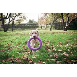 Puller Unique Dog Toy Purple Rings(2 Items) for Every Day Outdoor Training