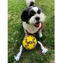 Wola Dog Soccer Ball, Size 3 with Free Pump, Made Out of 100% Natural Rubber, Non-Toxic Dog Toy - Rope & Tug Dog Toy