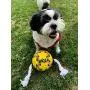 Wola Dog Soccer Ball, Size 3 with Free Pump, Made Out of 100% Natural Rubber, Non-Toxic Dog Toy - Rope & Tug Dog Toy