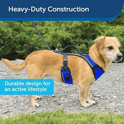 PetSafe EasySport Dog Harness, Adjustable Padded Dog Harness with Control Handle and Reflective Piping