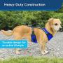 PetSafe EasySport Dog Harness, Adjustable Padded Dog Harness with Control Handle and Reflective Piping