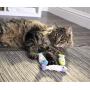 SmartyKat Catnip Cat Toys
