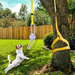 Retractable Interactive Dog Toy for Pitbull & Medium or Large Dogs Puppies, Outdoor Hanging Bungee Exercise Rope Pull & Tug of War Game, Pole Dog Rope Chew Toys