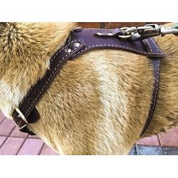 OCSOSO Durable Finest Brown Genuine Leather Dog Vest Harness Safety Dog Leather Harness Brass Plated for Medium Or Large Dogs 33.5''-35'' Chest with Dog Leash Hook