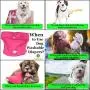 SunGrow Washable Dog Diapers, Fits 9-15 Inches Waist, Blue, Purple and Pink, Reusable, Super-Absorbent Soft Fabric, Elastic Waist, Easy to Use Touch Fastener, Pack of 3 SunGrow Washable Dog Diapers, Fits 9-15 Inches Waist, Blue, Purple and Pink, Reusable, Super-Absorbent Soft Fabric, Elastic Waist, Easy to Use Touch Fastener, Pack of 3