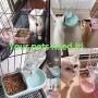 Cage Dual Bowl, Crate Hanging Bowl, Bowl with Water Bottle Removable Stainless Steel Water Food Feeder Bowls Cage Coop Dish Holder with Bolt for Bird Rabbit Dog Cat, Food Water Bowl 2 in 1 Design Blue