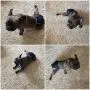 Barkertime Dog Diapers - Made in USA - Denim Premium Waterproof Dog Diaper for Male and Female Dogs for Incontinence, Housetraining and Dogs in Heat Barkertime Dog Diapers - Made in USA - Denim Premium Waterproof Dog Diaper for Male and Female Dogs for Incontinence, Housetraining and Dogs in Heat